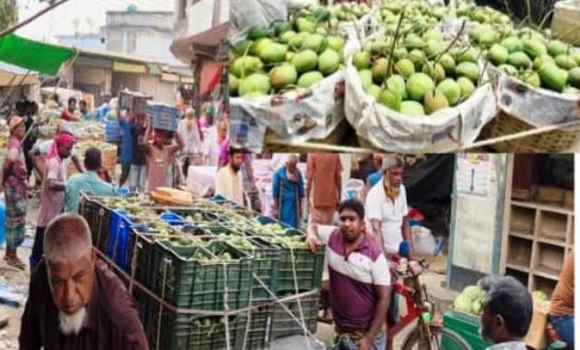সাতক্ষীরায় বাজার কমিটির চাঁদাবাজিতে নাকাল আমচাষিরা : প্রশাসনের নামে উঠছে চাঁদার টাকা