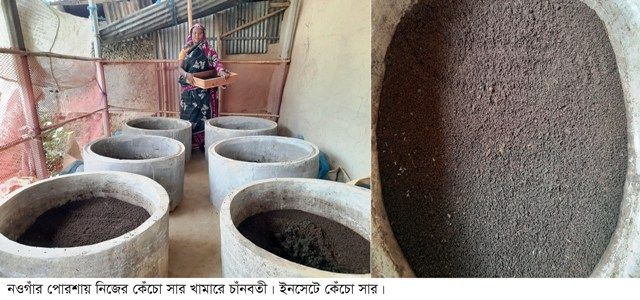 পোরশায় কেঁচো সার উৎপাদন করে সফল চাঁনবতী