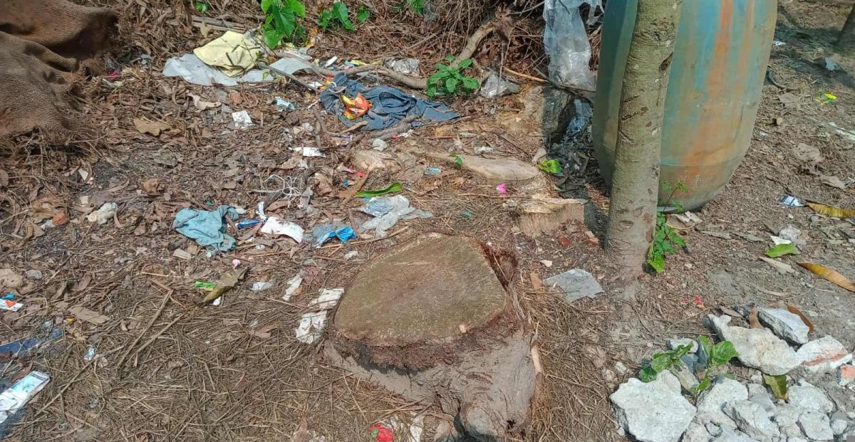 গজারিয়ায় পুর্ব বিরোধের জেরে গাছ কর্তনের অভিযোগ