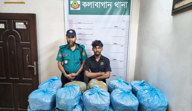 ৪০ কেজি গাঁজাসহ মাদক কারবারি এলেক্স কাল্লু গ্রেফতার
