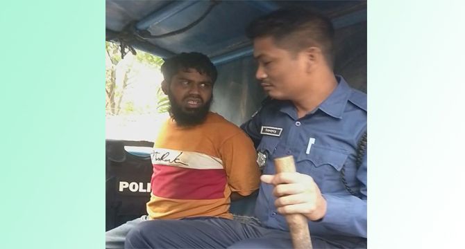মিরসরাইয়ে দিনদুপুরে গরু চুরি, আটক ১