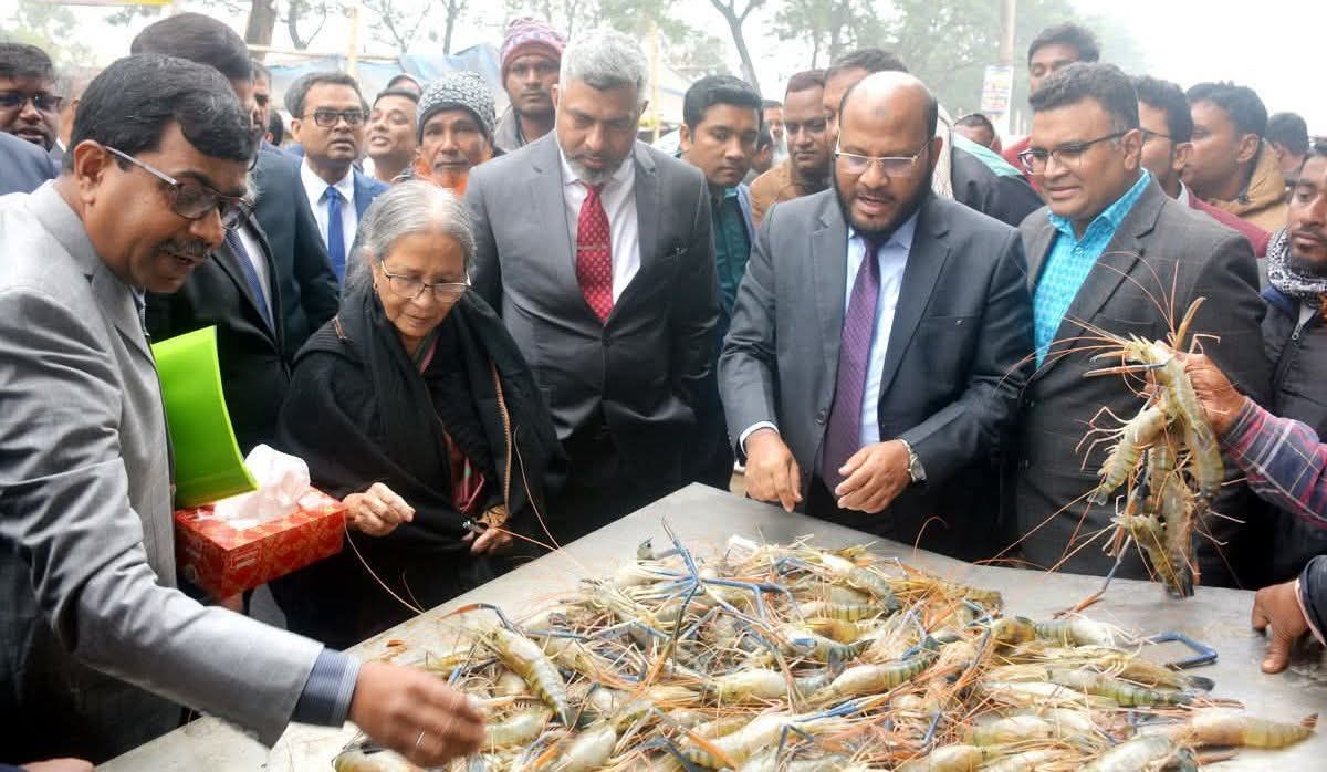 চিংড়ি রপ্তানিতে আন্তর্জাতিক পদ্ধতি অনুসরণ করতে হবে: মৎস্য ও প্রাণিসম্পদ উপদেষ্টা