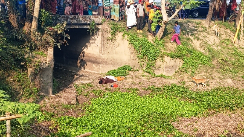তালায় এক মহিলার লাশ উদ্ধার