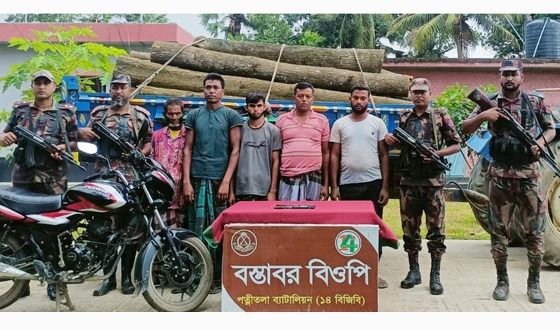 নওগাঁর ধামইরহাটে বন বিভাগের চোরাই গাছসহ ৫ আটক