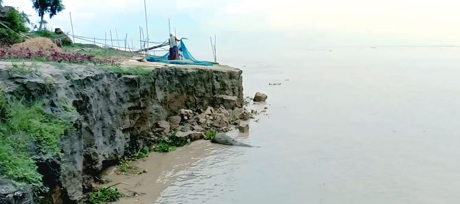 যমুনার চরাঞ্চলে আলম শেখের নেতৃত্বে চলছে অবৈধ বালু উত্তোলন