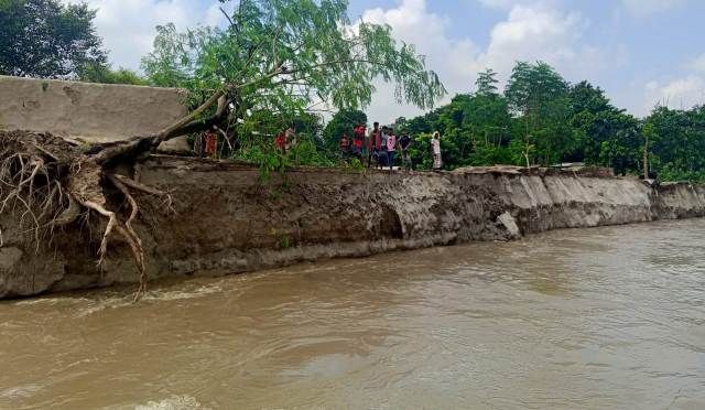 পদ্মার নদীর ভাঙ্গনে গোদাগাড়ীর চরে সব হারিয়ে দিশেহারা হয়ে পড়েছে মানুষ