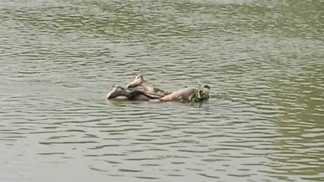 ইসলামপুরে দশআনী নদী থেকে অজ্ঞাত পুরুষের মরদেহ উদ্ধার