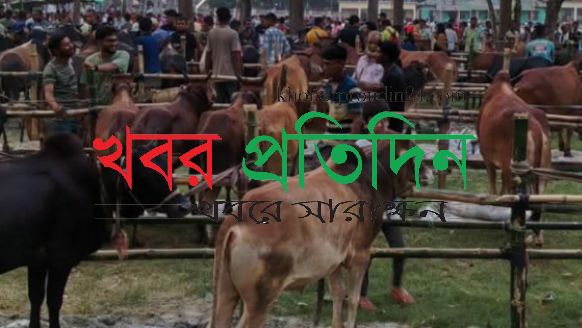 রেকর্ড বিক্রি জোড়াগেট পশুর হাটে: কেসিসির ঘরে এলো ২ কোটি ১৫ লাখ টাকা রাজস্ব