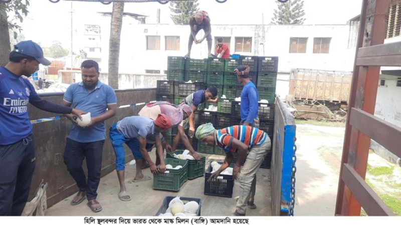 হিলি স্থলবন্দর দিয়ে ভারত থেকে মাস্ক মিলন (বাঙ্গি) আমদানি হয়েছে
