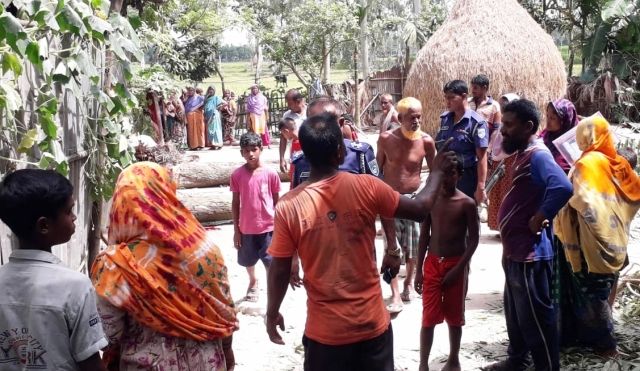উলিপুরে কাটা গাছের নিচে চাপা পড়ে ১ জনের মৃত্যু