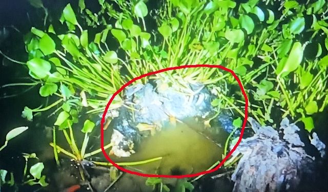 যশোরের কলিয়া বাওড় থেকে কঙ্কাল উদ্ধার