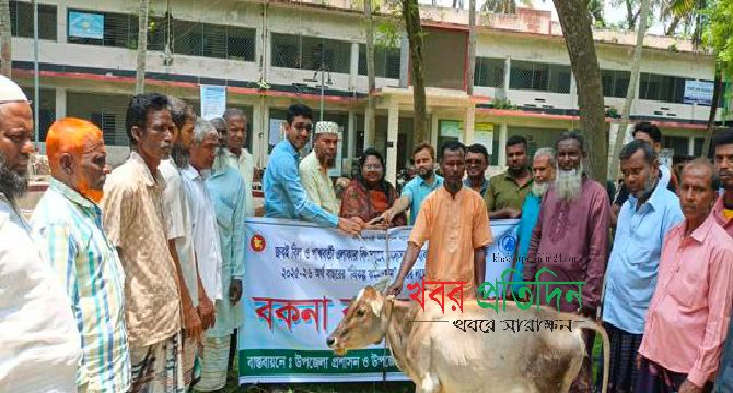 তানোরে জেলেদের মাঝে বকনা বাছুর বিতরণ