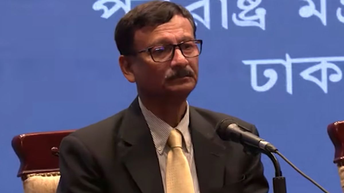 বাংলাদেশিদের ভিসা না দেওয়ার দায় পুরো দেশের: পররাষ্ট্র উপদেষ্টা