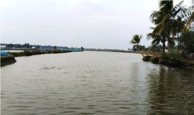 অবশেষে অনেক জল্পনা কল্পনার পড় দক্ষিণ খুলনার আলোচিত নাছিরপুর খাল দখলমুক্ত হচ্ছে
