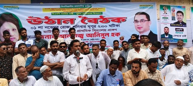 আগামী নির্বাচনে বিএনপিকে বিজয় করতে হবে: আনিসুল হক