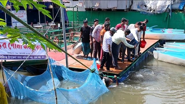 ভোলায় জলাশয় ও পুকুরে মাছের পোনা অবমুক্ত