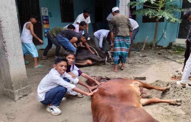 ঈদুল আজহার দ্বিতীয় দিনেও চলছে কোরবানির পশু জবাই