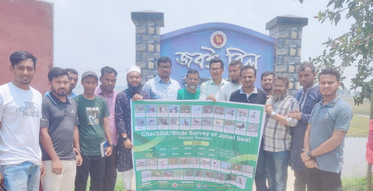 জবই বিলে স্থাপন করা হলো পাখি জরিপের বিলবোর্ড
