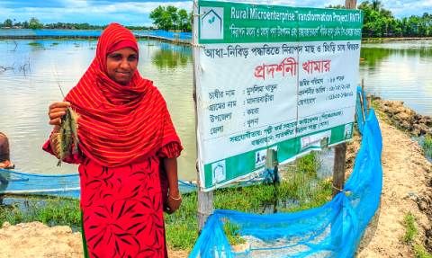 মুসলিমা খাতুন: গৃহিণী থেকে স্বাবলম্বী মাছচাষি
