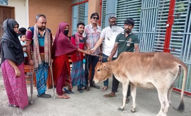 মাগুরা মুক্তিমঞ্চ ফাউন্ডেশন কতৃক প্রতিবন্ধীর মাঝে গরু প্রদান