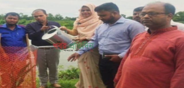 নাসিরনগে বজ্রপাত রোধে তালের ছাড়া রোপন