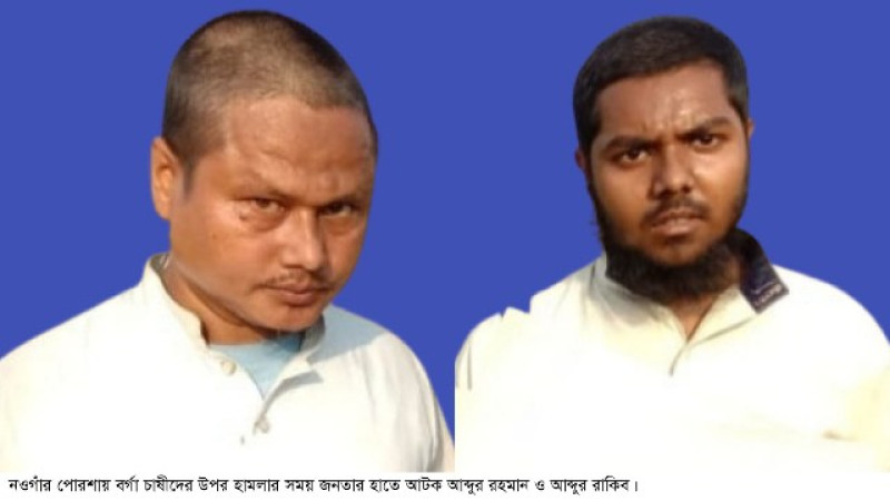 পোরশায় বর্গা চাষীদের উপর দুর্বৃত্তদের হামলা, আটক ২