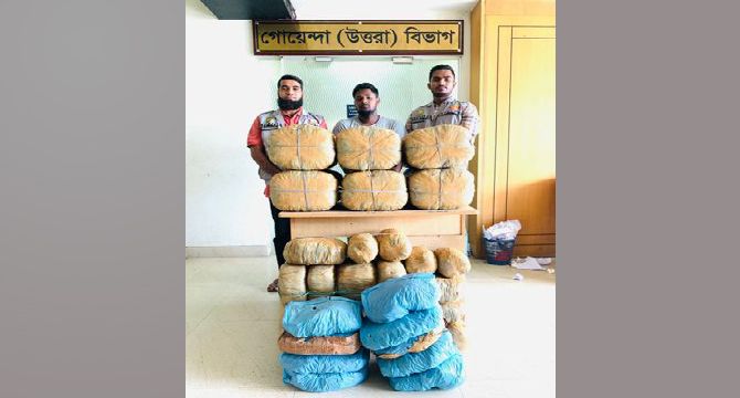 ৯৫ কেজি গাঁজাসহ এক মাদক কারবারিকে গ্রেফতার করেছে ডিবি