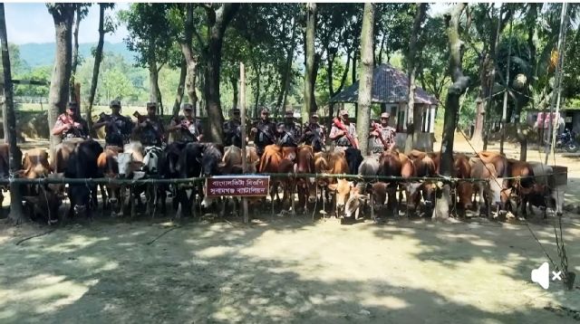 মধ্যনগরে বিজিবি টহল দলের উপর চোরাকারবারীদের হামলা বিজিবি সদস্য আহত, ১ শ্রমিকের জনের লাশ উদ্ধার