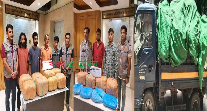 পৃথক অভিযানে ৬০ কেজি গাঁজা ও পিকআপসহ ছয় মাদক কারবারিকে গ্রেফতার করেছে ডিবি মতিঝিল