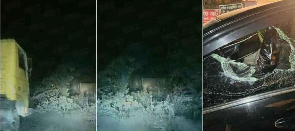সাভার বিরুলিয়া কালিয়াকৈর রোডে রাস্তায় গাছ ফেলে ভোর রাতে ডাকাতি