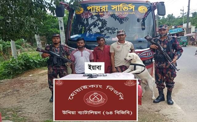 টেকনাফে বিজিবি ডগ স্কোয়াডের অভিযান: ৯,৮০০ পিস ইয়াবাসহ চালক ও হেলপার আটক