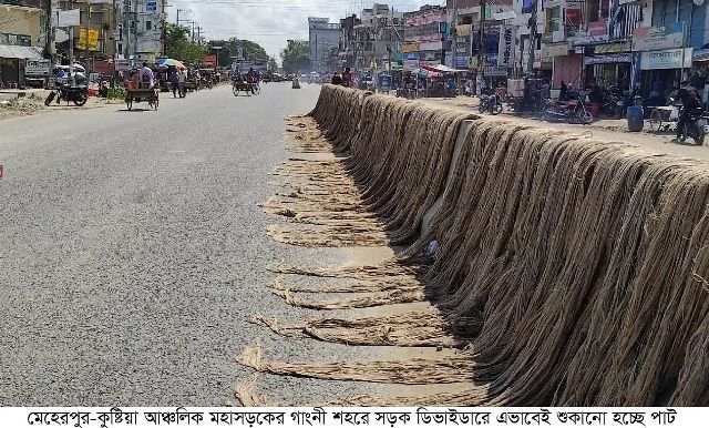 সড়কে চলাচলকারী যানবাহনের চাকায় পাট পেঁচিয়ে ঘটছে দূর্ঘটনা গাংনীর মহাসড়ক ও ডিভাইডারে শুকানো হচ্ছে পাট