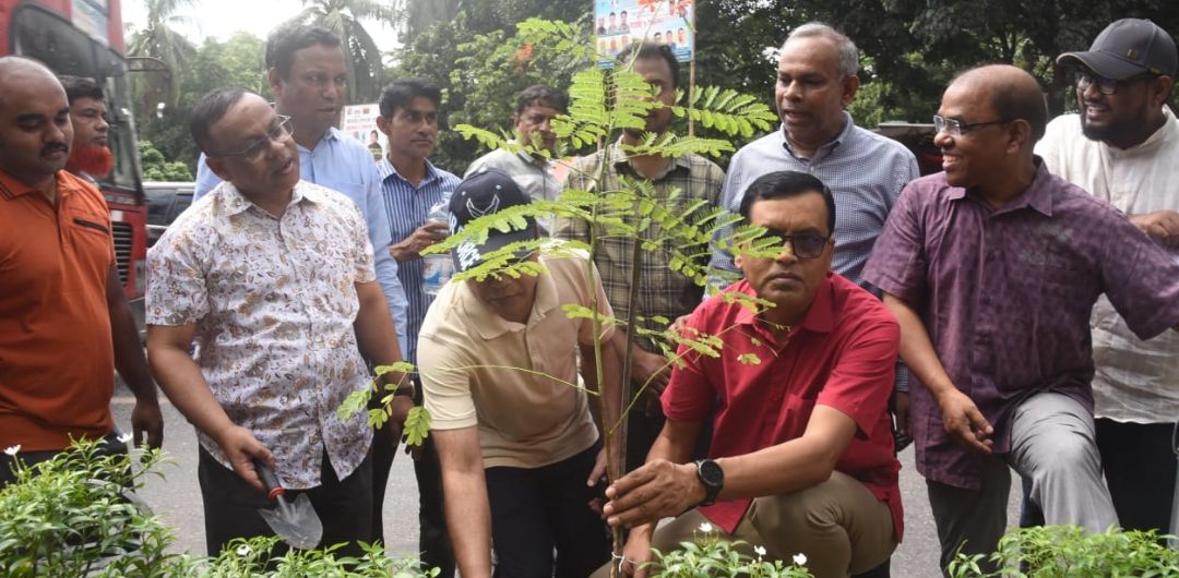 ৩১ কি. মি. দৈর্ঘ্যের রোড মিডিয়ানে বৃক্ষরোপণ ও সবুজায়নের উদ্বোধন করলেন ডিএসসিসি প্রশাসক