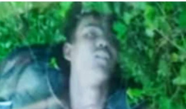 ঠাকুরগাঁওয়ের হরিপুর সীমান্তে বিএসএফের গুলিতে বাংলাদেশি যুবক নিহত