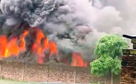 মুরগির খামারে ভয়াবহ অগ্নিকান্ড,ক্ষতি পরিমান১০ লাখ টাকা