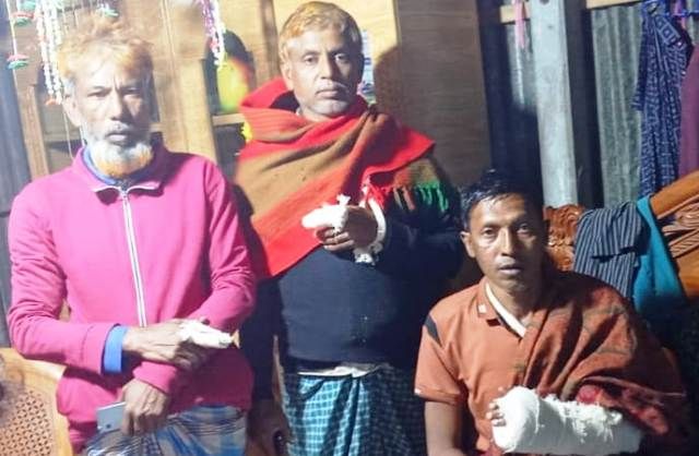 রূপগঞ্জে অস্ত্র ঠেকিয়ে গরু ডাকাতি: আহত চার