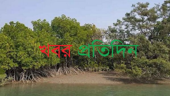 অস্তিত্বের সংকটে রূপসী বাংলা: নদী, মাটি আর বনের কান্না, মুক্তির পথ কোন দিকে?