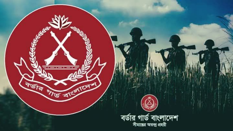 পাকিস্তান -ভারত সংঘাত: সাতক্ষীরা সীমান্তে বিজিবির টহল জোরদার করেছেন