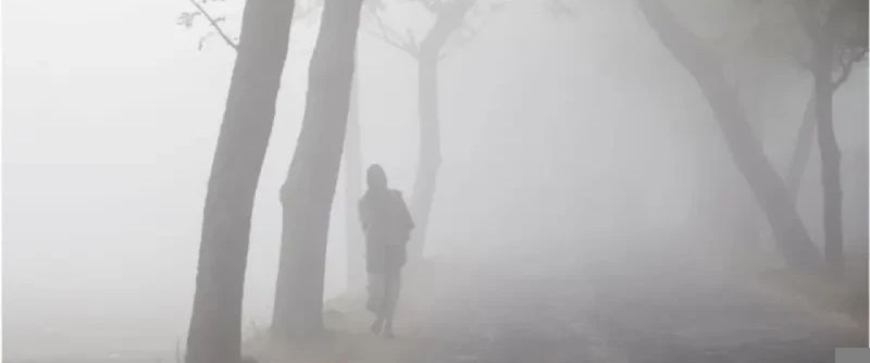 শীত ও কুয়াশার দাপট থাকবে আরো ৫ দিন