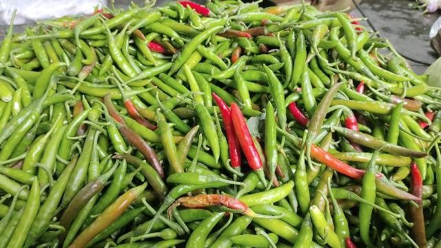 হিলিতে কাঁচামরিচের দাম বেড়েছে কেজিতে ১৩০ টাকা