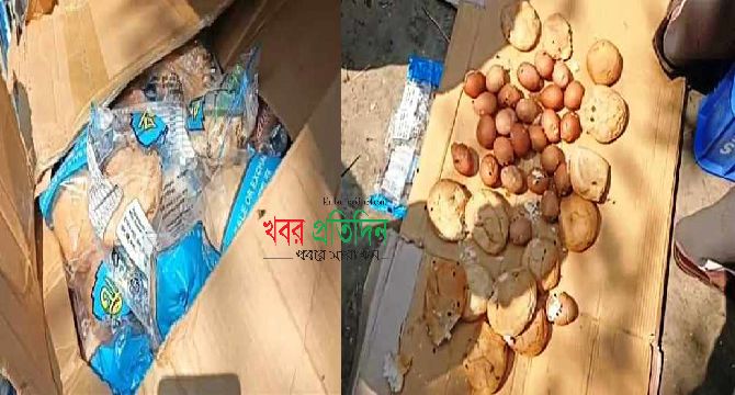 নাসিরনগরে স্কুল ফিডিংয়ের নামে বাচ্চাদের সাথে তামাশা কেন?