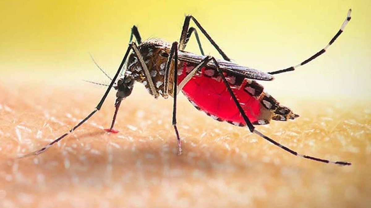 প্রাণ গেল আরও ৩ জনের,  হাসপাতালে ভর্তি ৪০৮