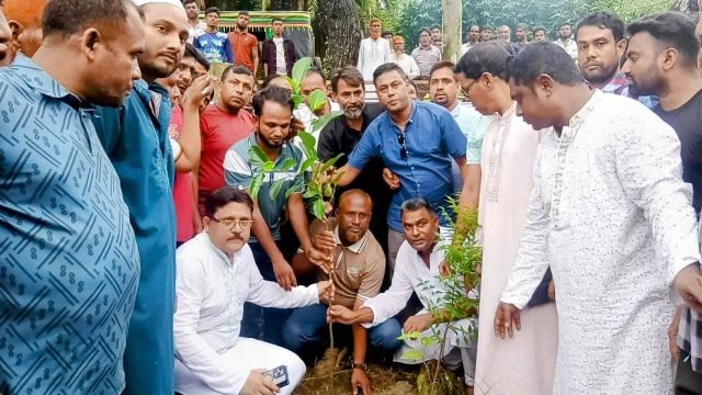 মাগুরার শ্রীপুরে কৃষকদলের উদ্যোগে বৃক্ষরোপণ