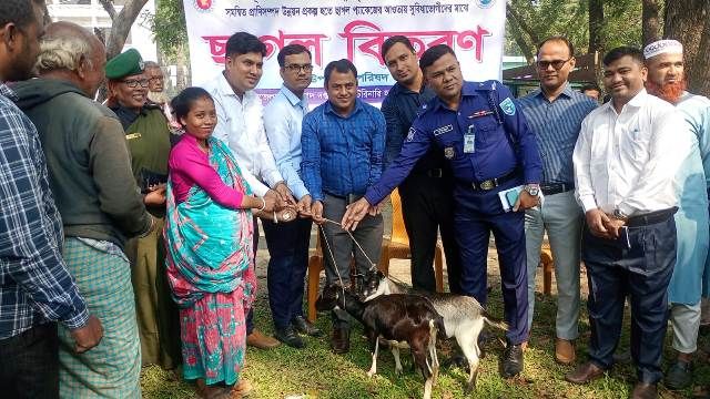 ফুলবাড়ীতে অনগ্রসর ক্ষুদ্র নৃ-গোষ্ঠীর ১৯৬ পরিবারে ৩৯২টি ছাগল বিতরণ