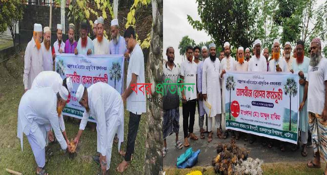নাটোরের বড়াইগ্রামে তাল বীজ রোপণ কর্মসূচির উদ্বোধন