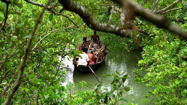 সুন্দরবনে আবার ‘জাহাঙ্গীর বাহিনী’র হানা: ট্রলারসহ ১২ জেলে অপহৃত, উদ্ধারে বনরক্ষীরা