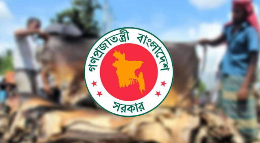 চামড়ার নতুন দাম নির্ধারণ করল সরকার