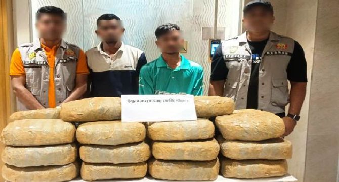 ৫২ কেজি গাঁজা ও পিকআপসহ দুই মাদক কারবারি গ্রেফতার