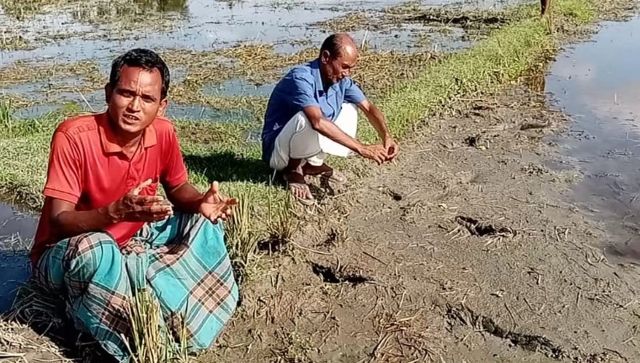 ডোমারে অসহায় এক কৃষকের জমি দখলের চেষ্টা