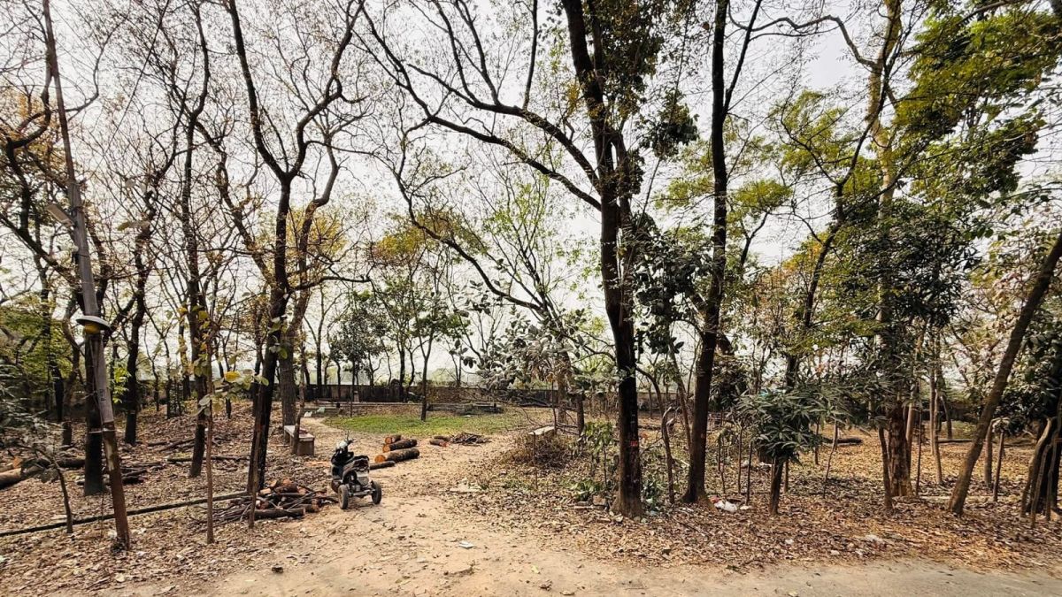 নিটারে নতুন হল নির্মাণের লক্ষ্যে শুরু হয়েছে গাছ কাটা, বিলম্বে শিক্ষার্থীদের উদ্বেগ